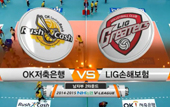 [14-15시즌] 11월 22일 vs LIG손해보험 하이라이트 영상